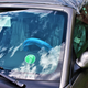 Image for article titled Mustang Enthusiast Buys Mint-Condition 2003 Ford Mustang Cobra 'Terminator' With Only 534 Miles